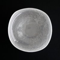 橋村大作：CRACK四方向付 くもり