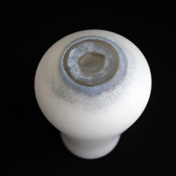 画像4: 小宮崇：白 片口 tall