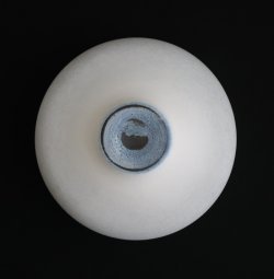 画像3: 小宮崇：白 高台向付