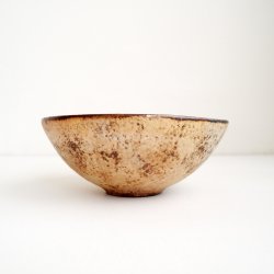 画像1: 山本哲也：鉄釉白泥彩たわみボウル